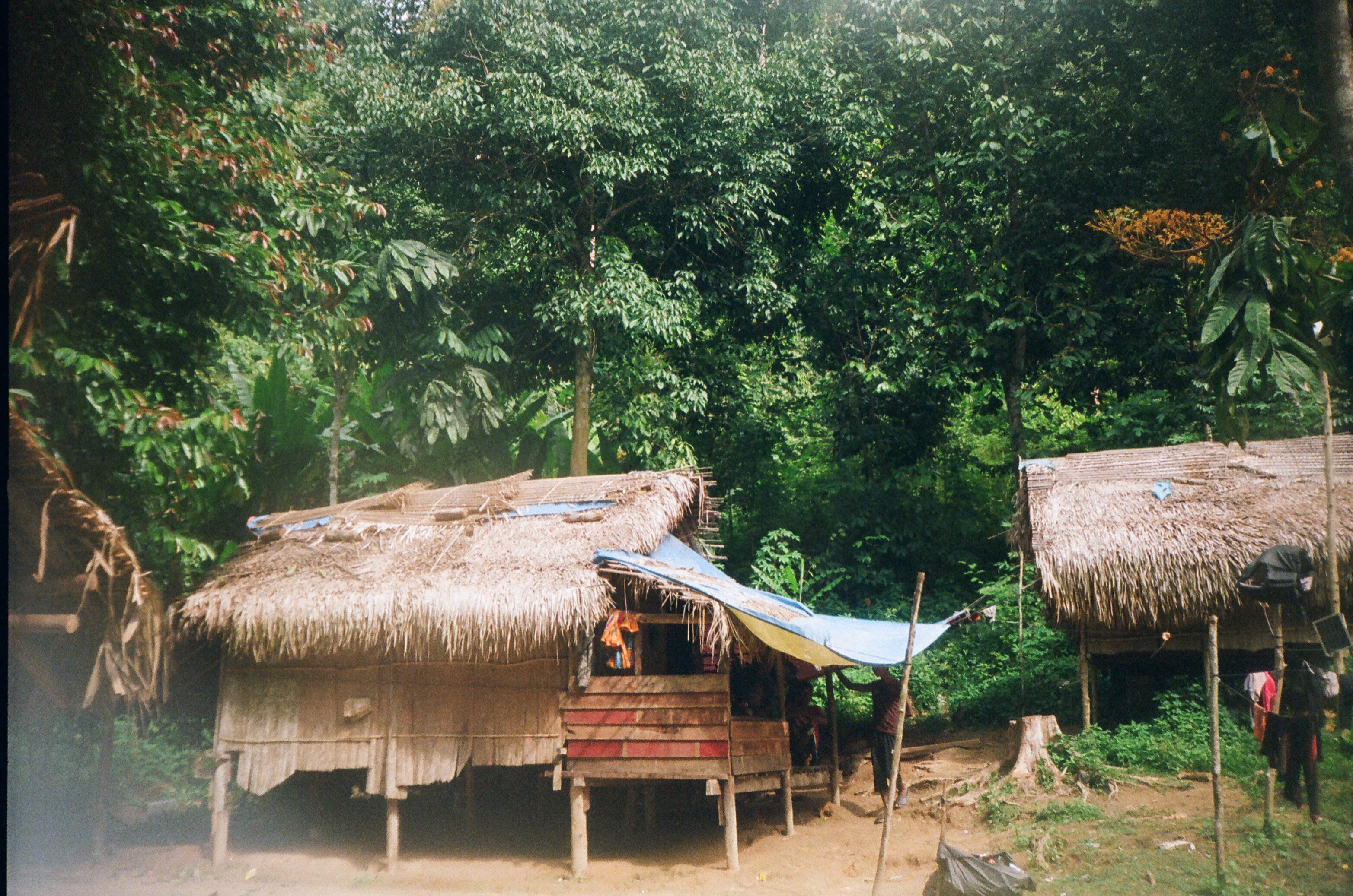 Malaysian village in the Taman Negara around Pahang in 2024