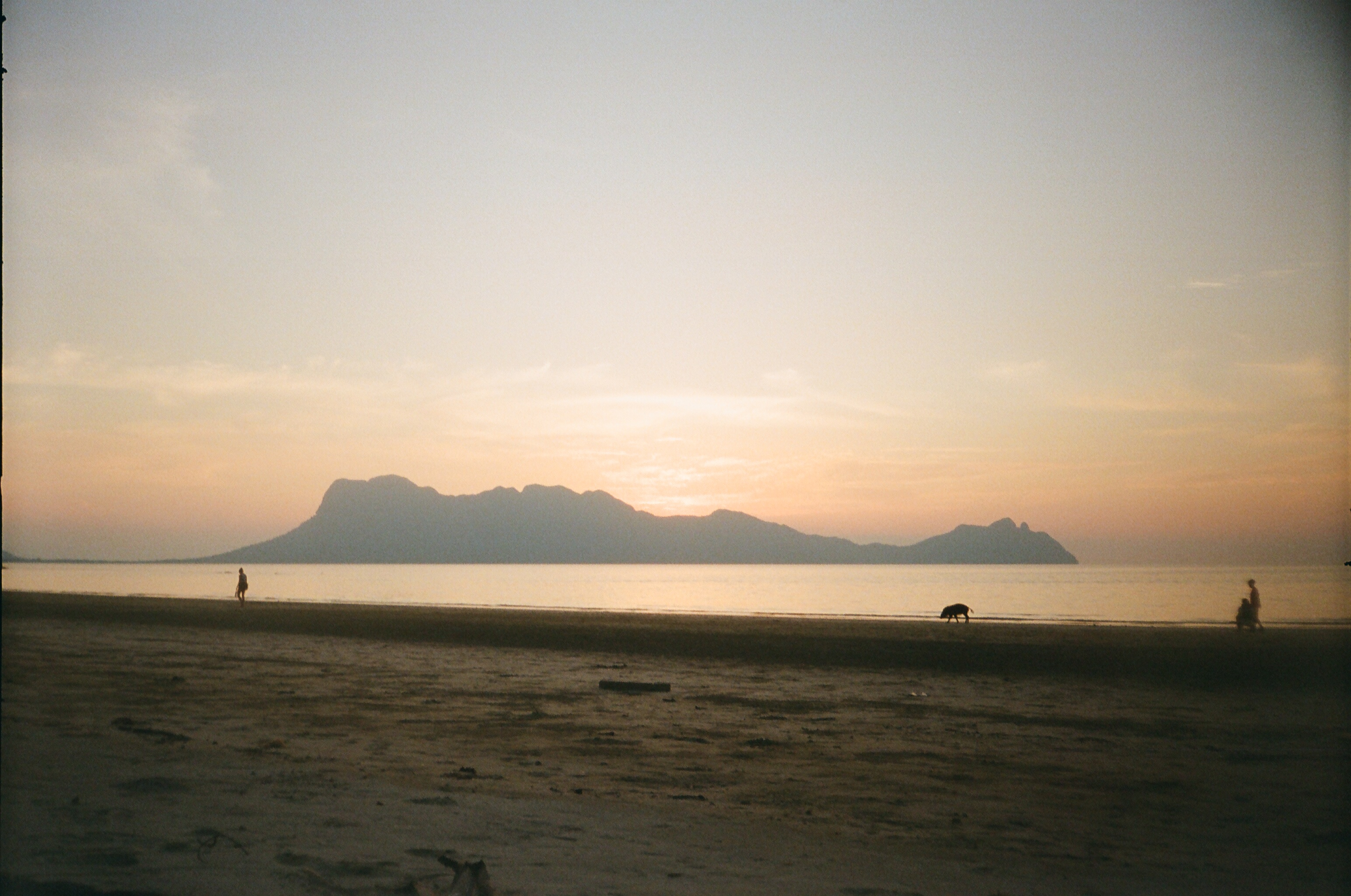 Bako National Park, Borneo (2025)