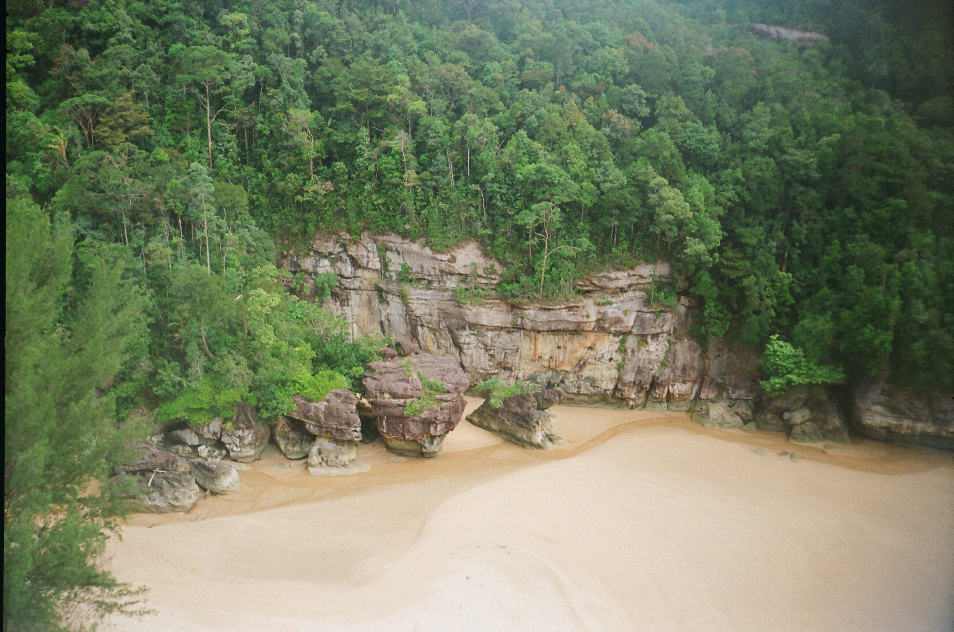 Bako National Park, Borneo (2025)