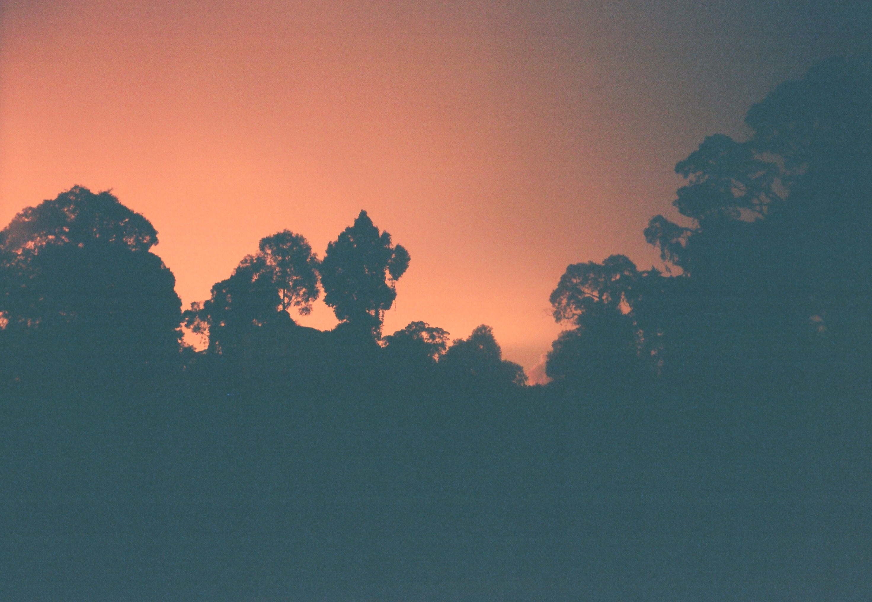 Sunset views in Beluran, Borneo (2025)