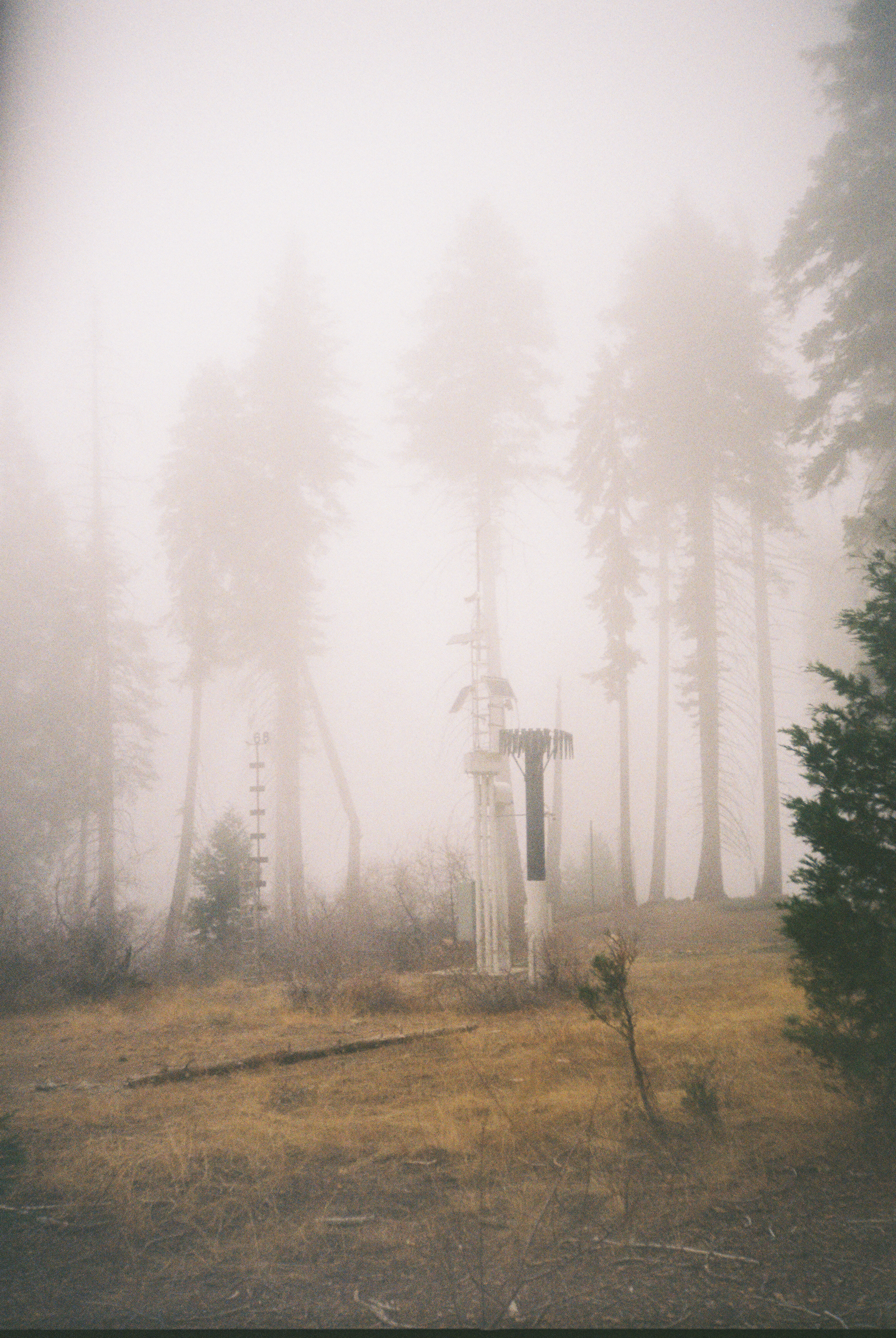 Kings Canyon National Park (2025)