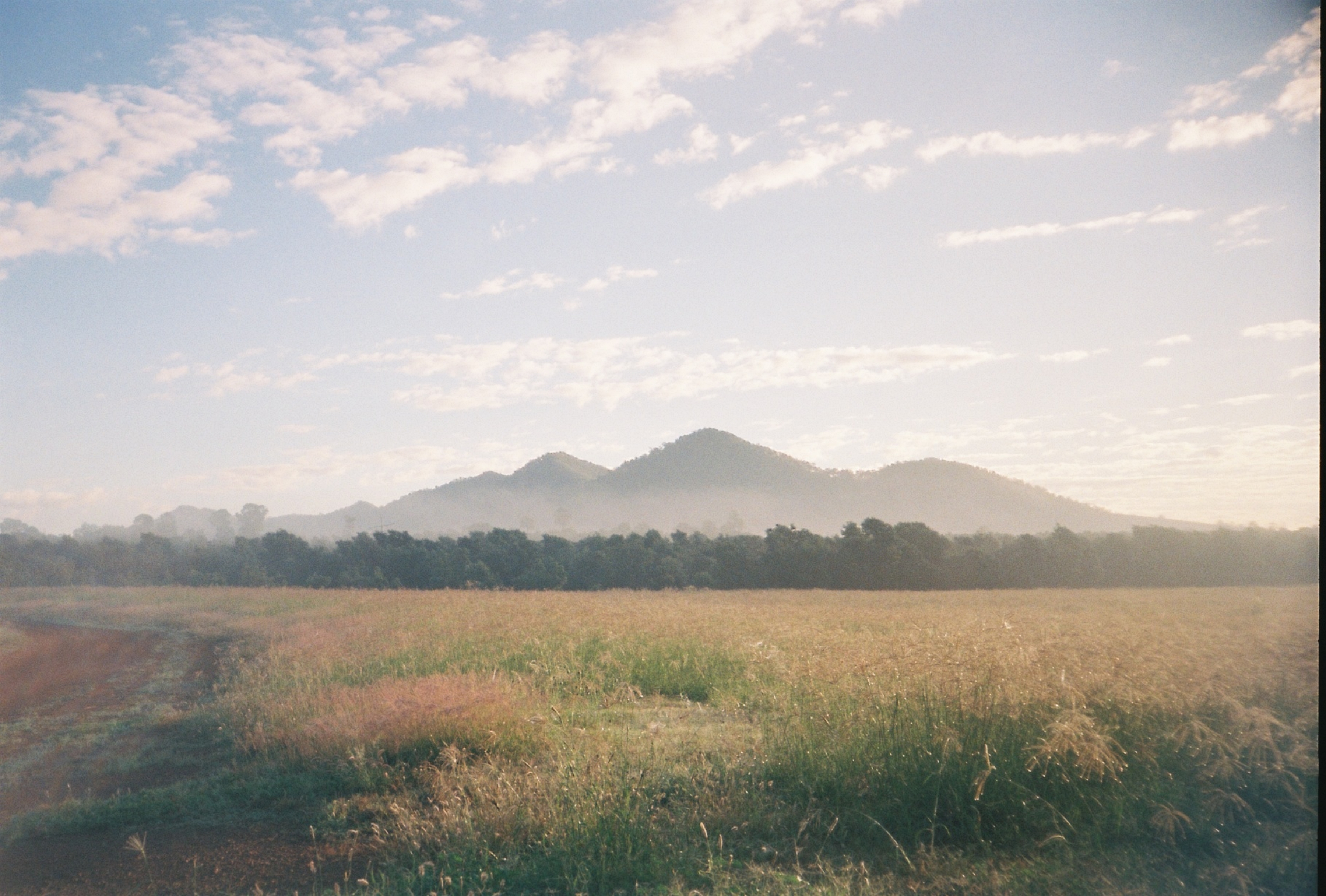 Lava Valley Produce Farm, Ban Ban Springs, Australia (2025)